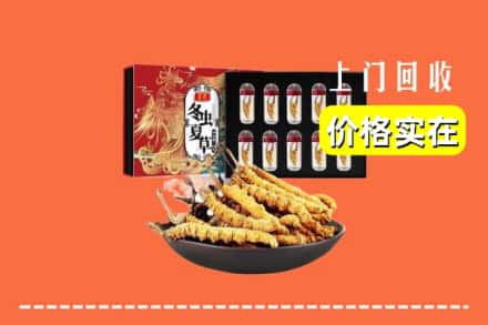 佳木斯前进区回收冬虫夏草